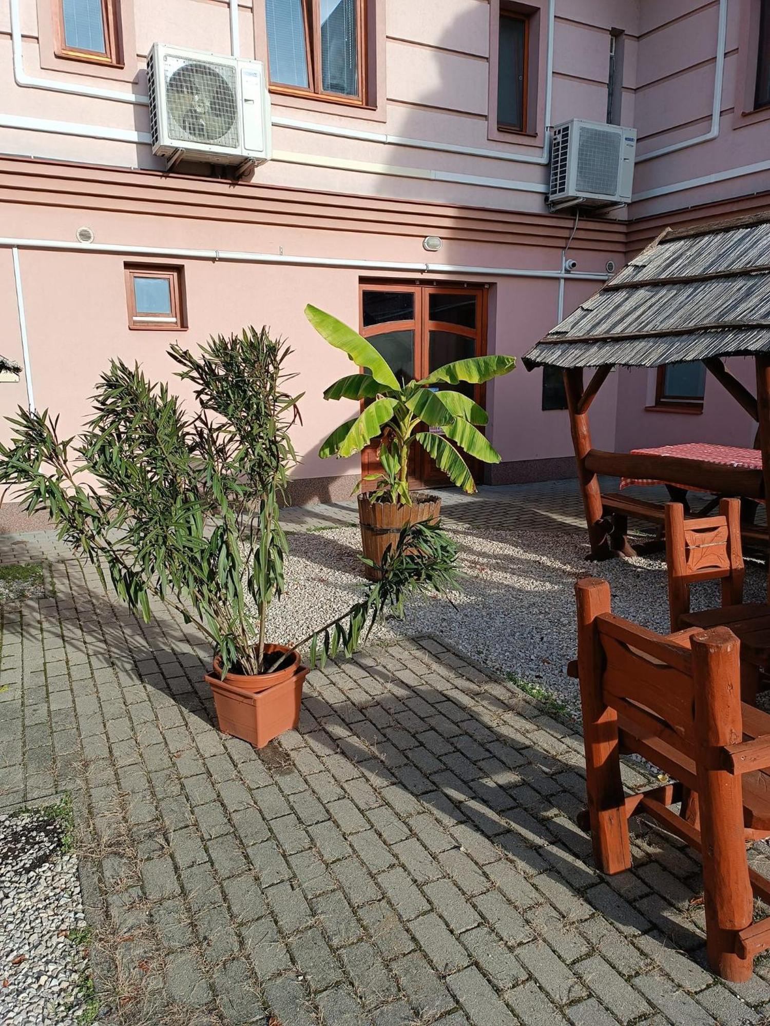 Malom Panzió Kiskunfelegyhaza Exterior foto